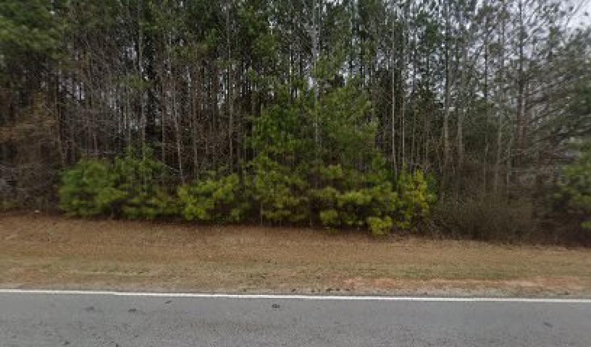 Honey Creek Bee Farm