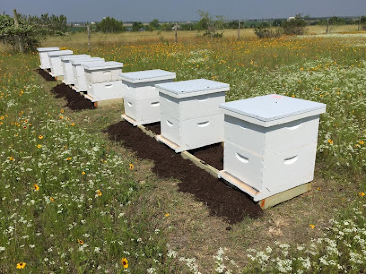 Oakley Family Apiaries