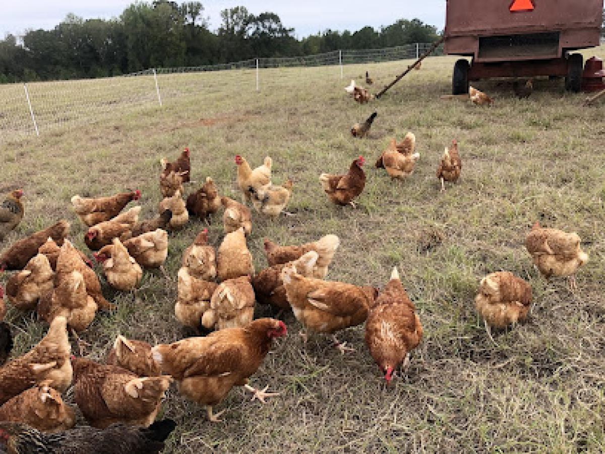 Greenway Farms of Georgia, LLC