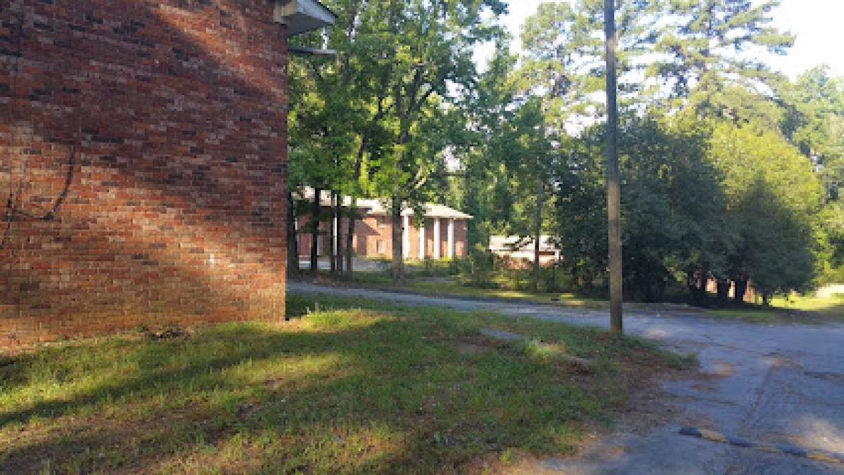 Honey From the Forest