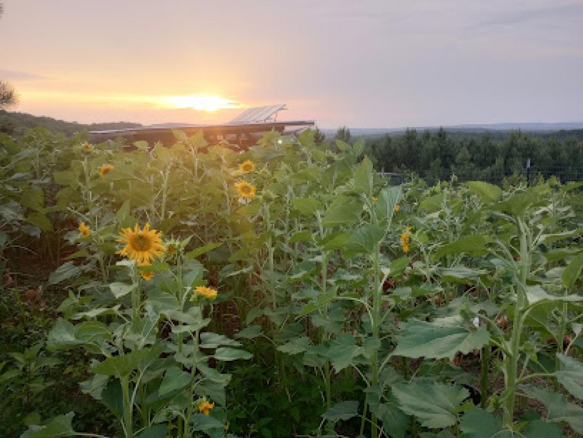 House In The Hill Farm