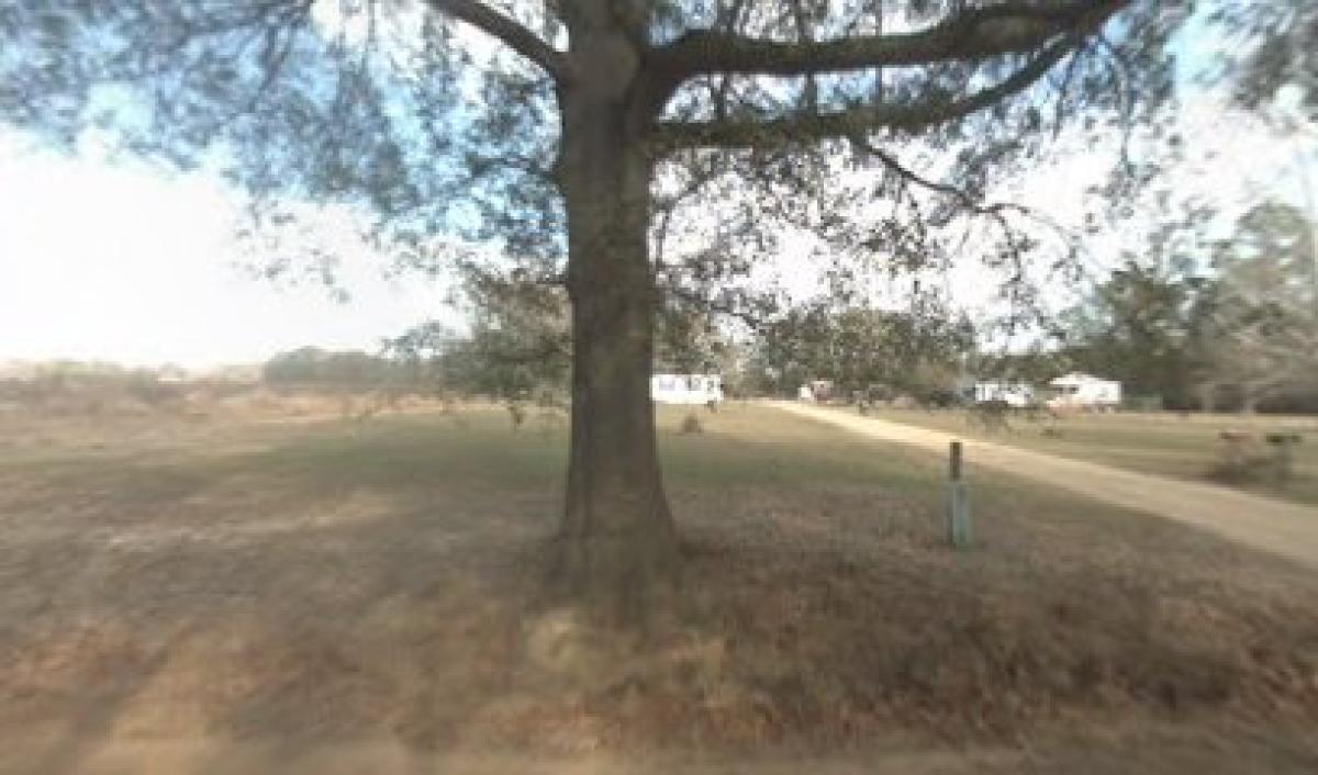 The Creator’s Garden