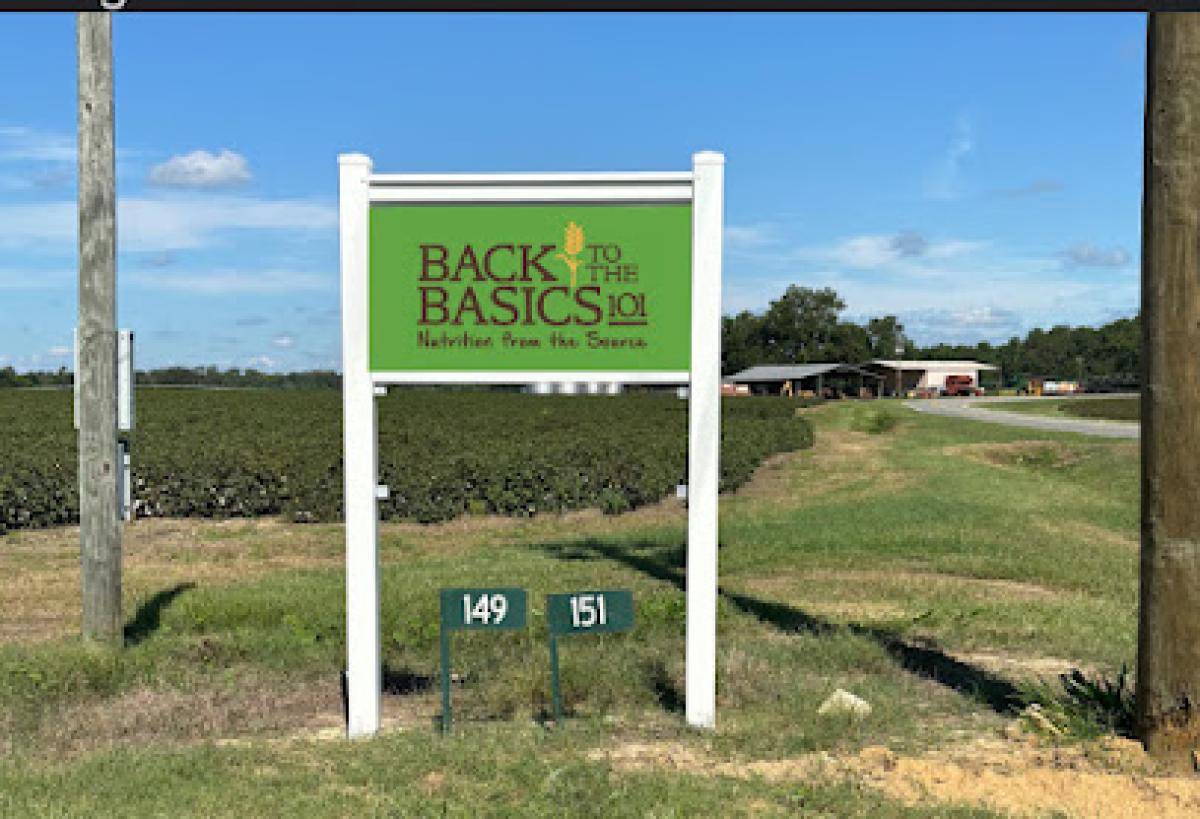 Back to the Basics 101