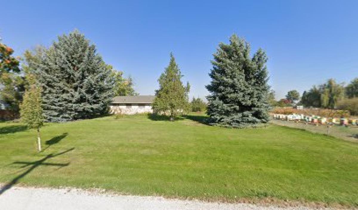 Bee Happy Honey Farms