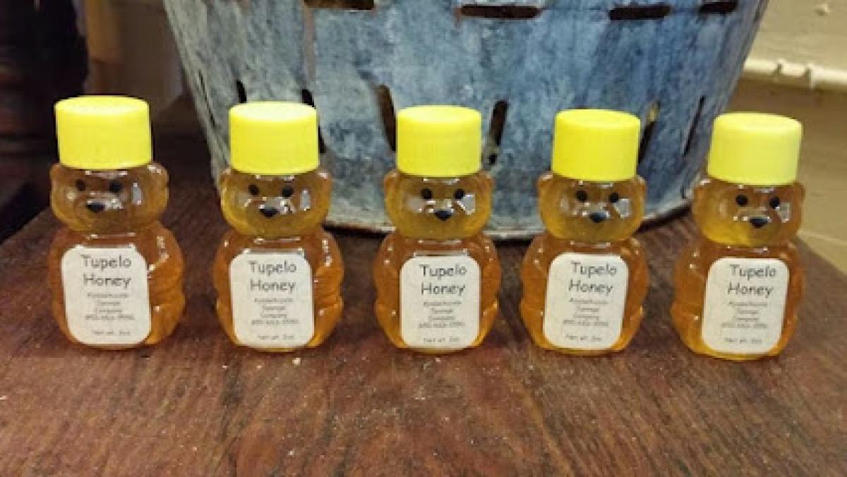 Tupelo Honey Florida