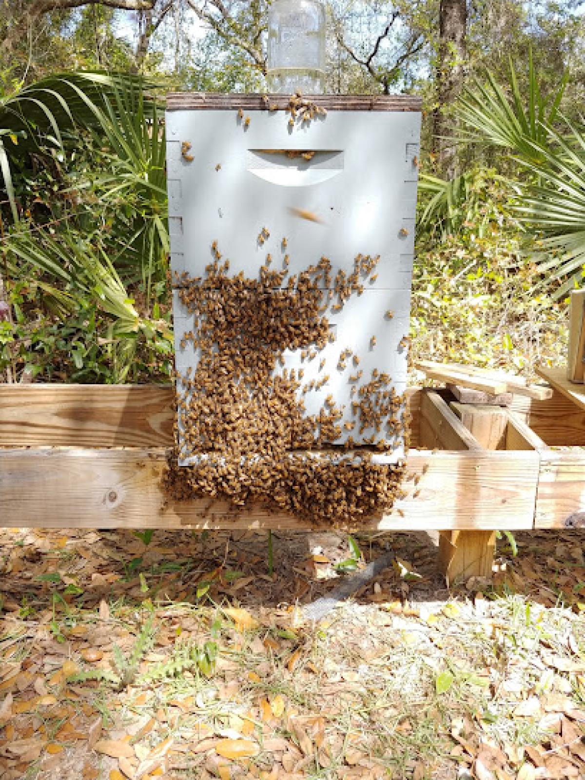 Master Grafters of Florida, LLC