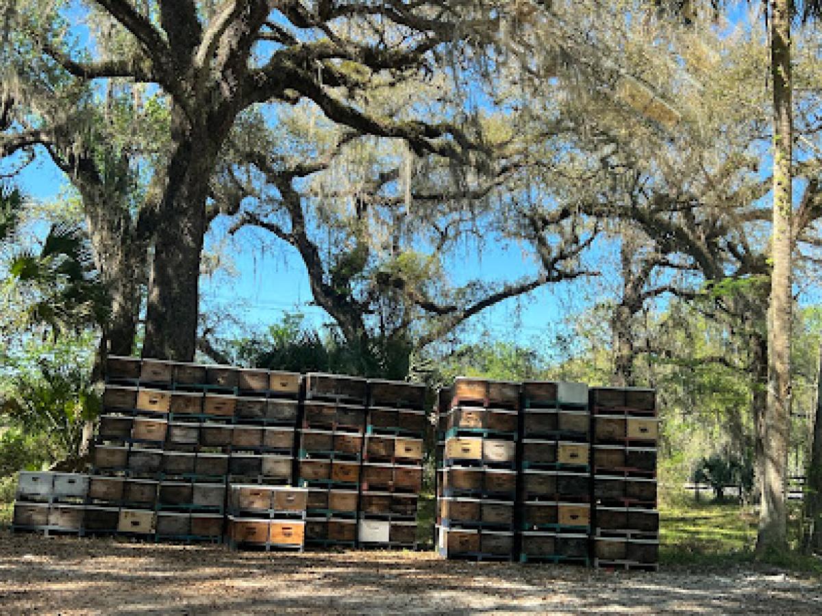 Indian Summer Honey Farm