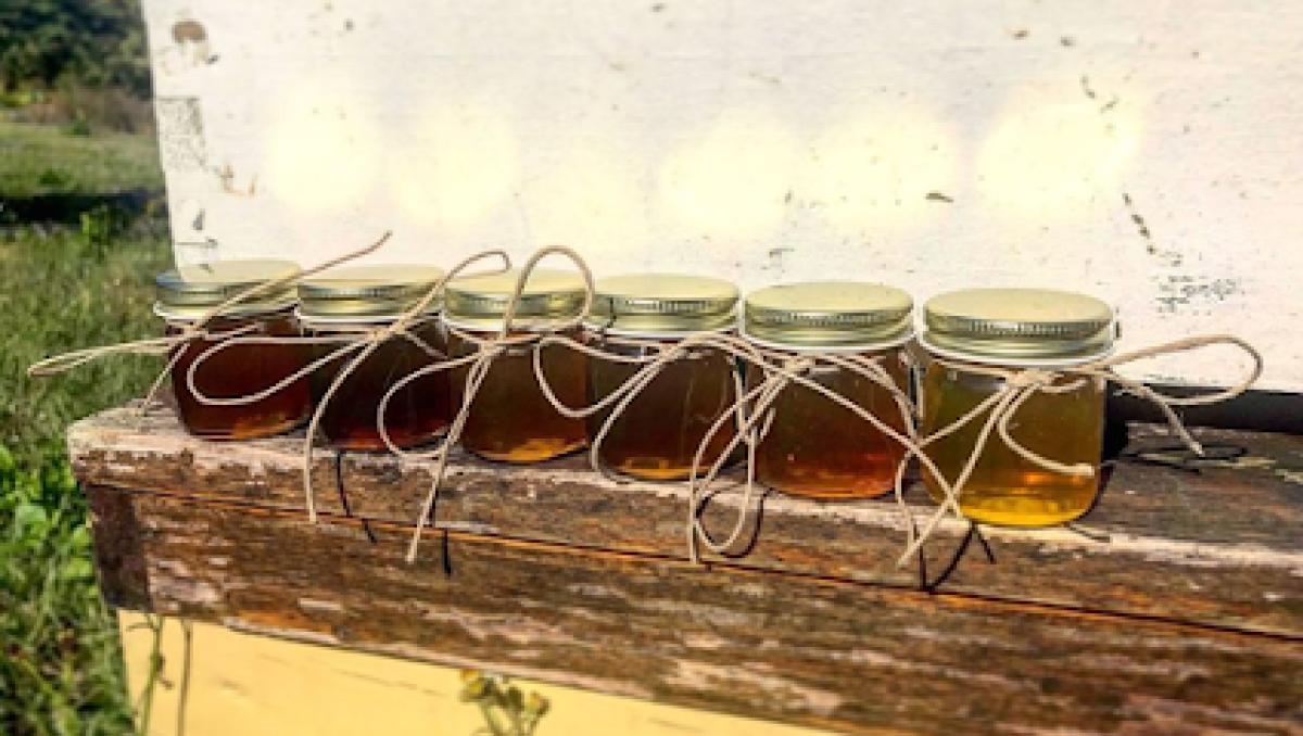 Five Hives Apiary: Florida Honey, Elderberry Syrup and More