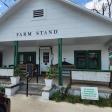 The Farm Stand