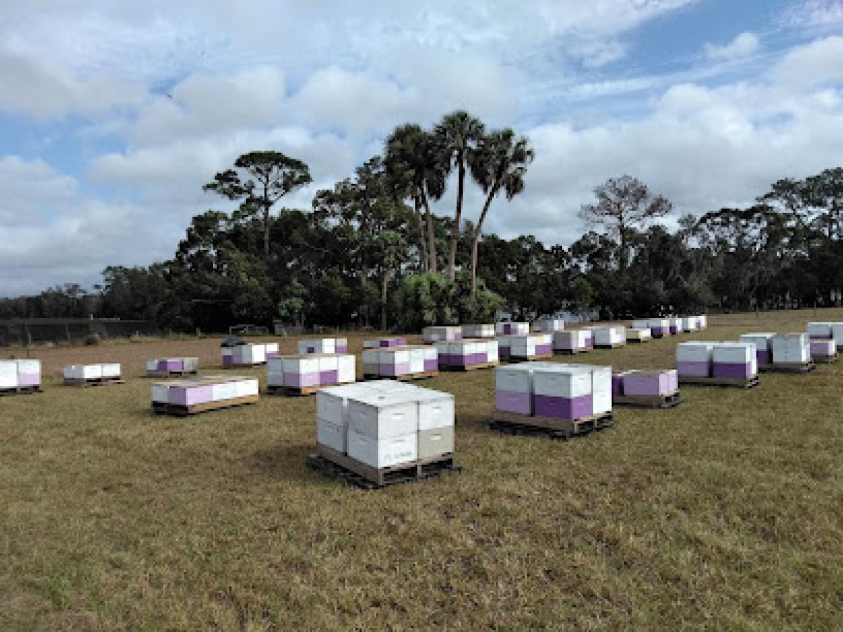 Midsummer Apiary LLC