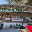 Randy WALDRON FARMS
