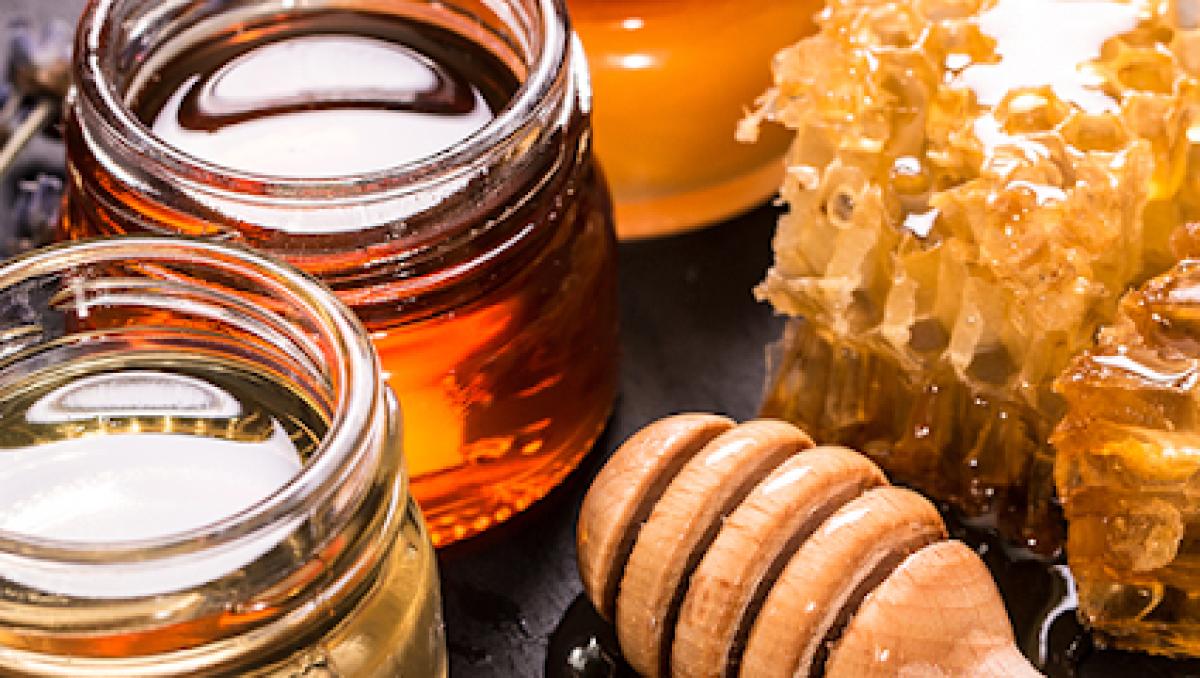 Sun Splash Nursery of New Smyrna Beach