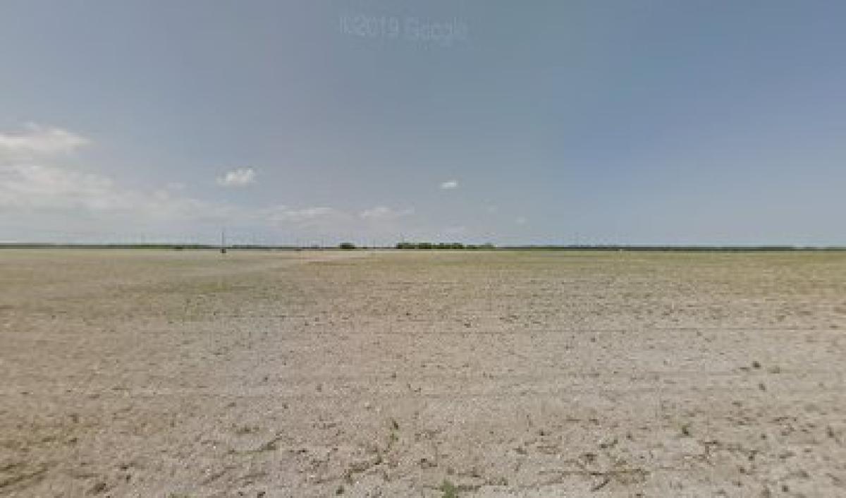 Pure honey of florida