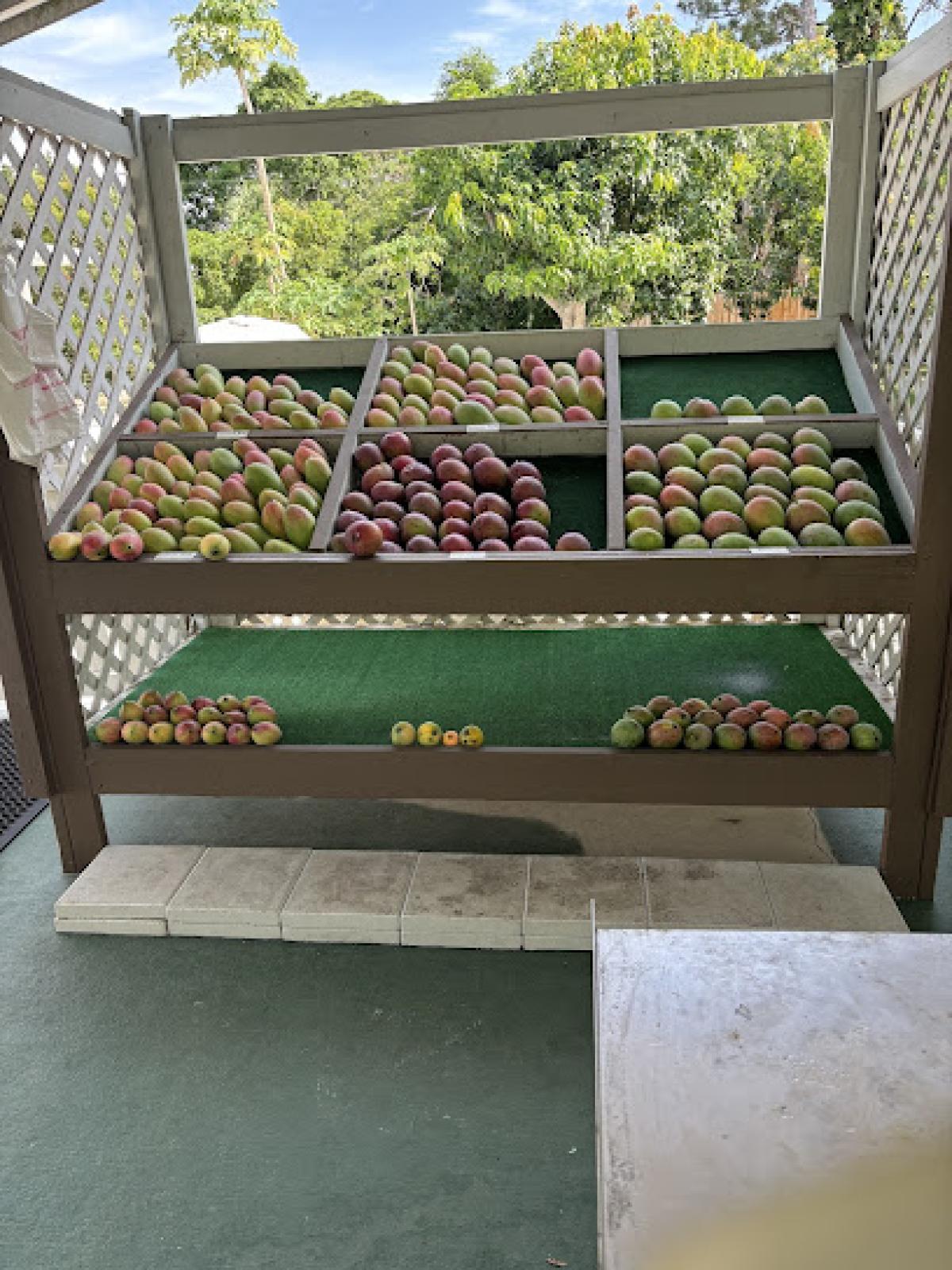 Griffis Groves Mangos and Honey