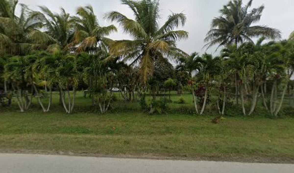 Honey Kiss from Honey Farms