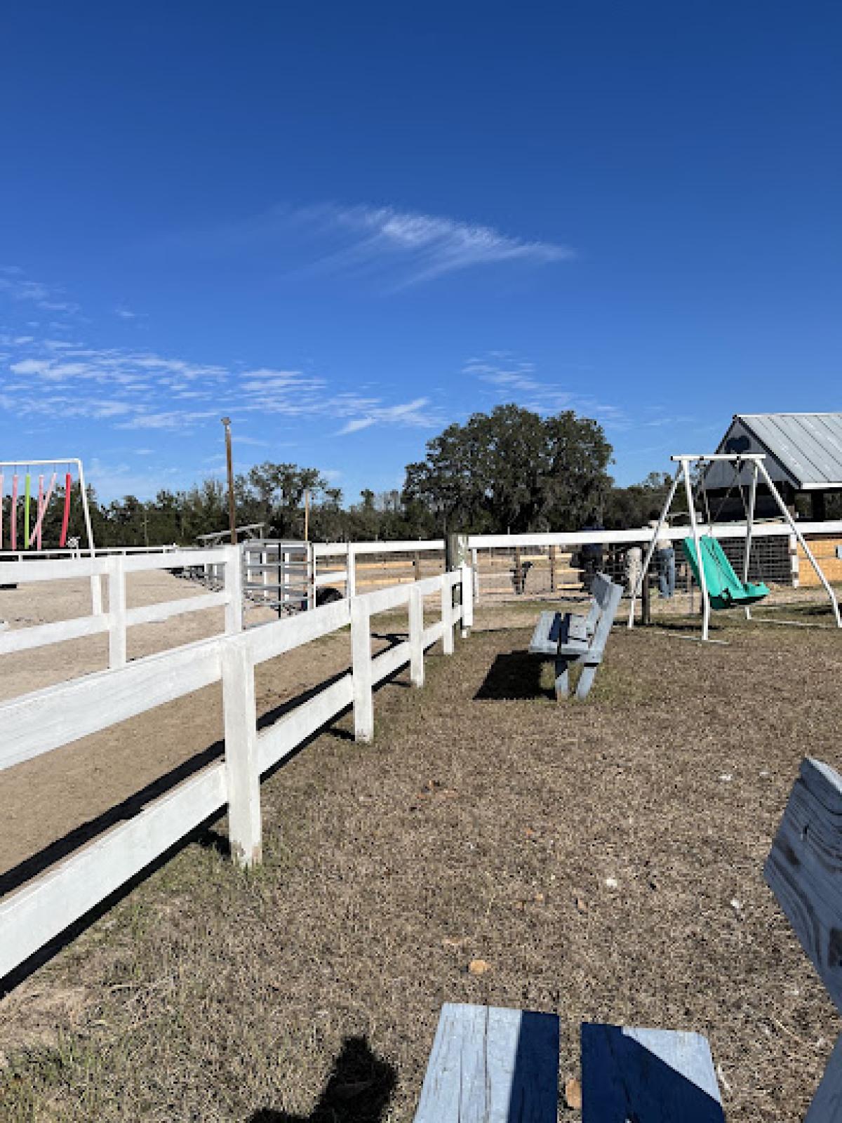 Southern Sunshine Farms