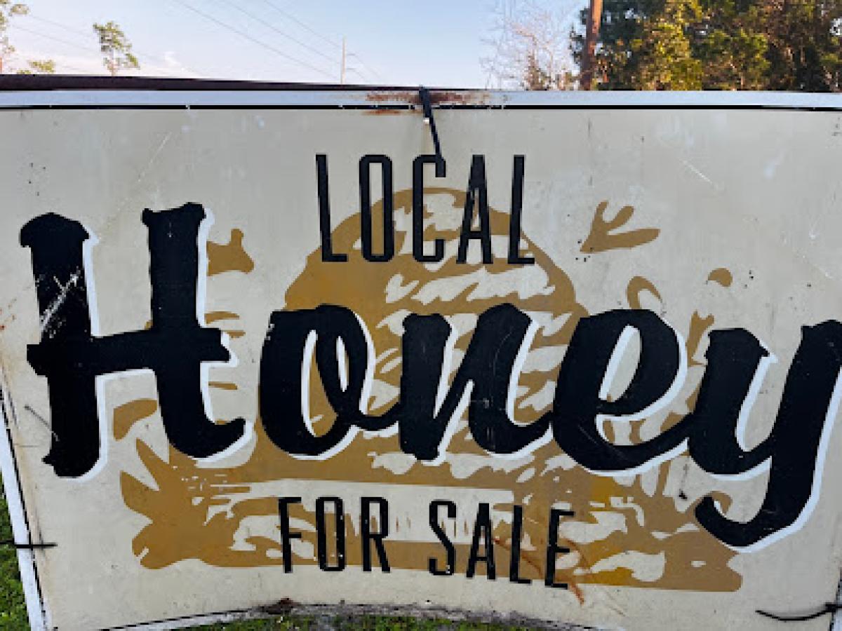 Bentley and Son’s Honey