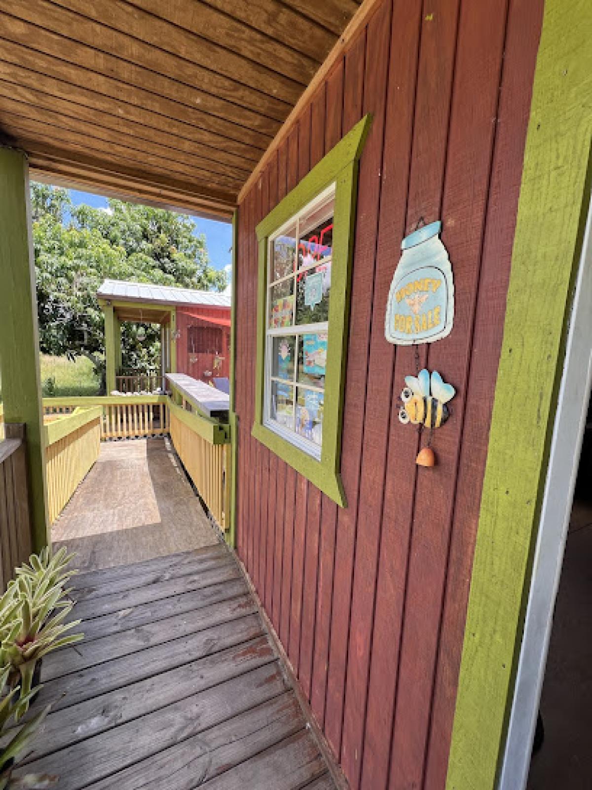 Promised Land Mangoes