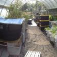 GreenView Aquaponics Family Farm and Apiary