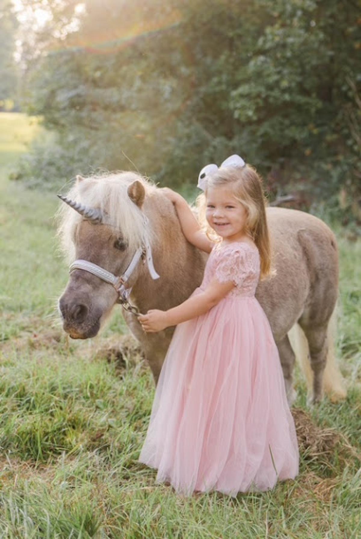 Andrews Double A Ranch Wildly Blessed