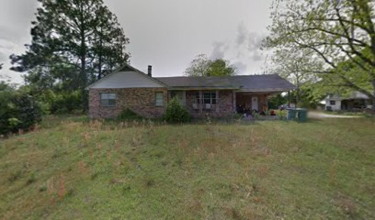 Grammy Midwife's Suburban Homestead