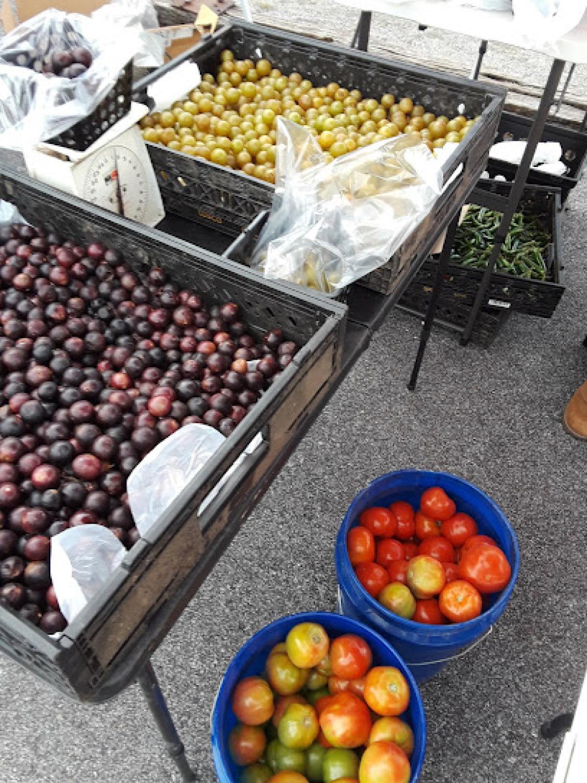 Jacksonville Farmers Market