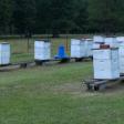 O'Neill's Apiary