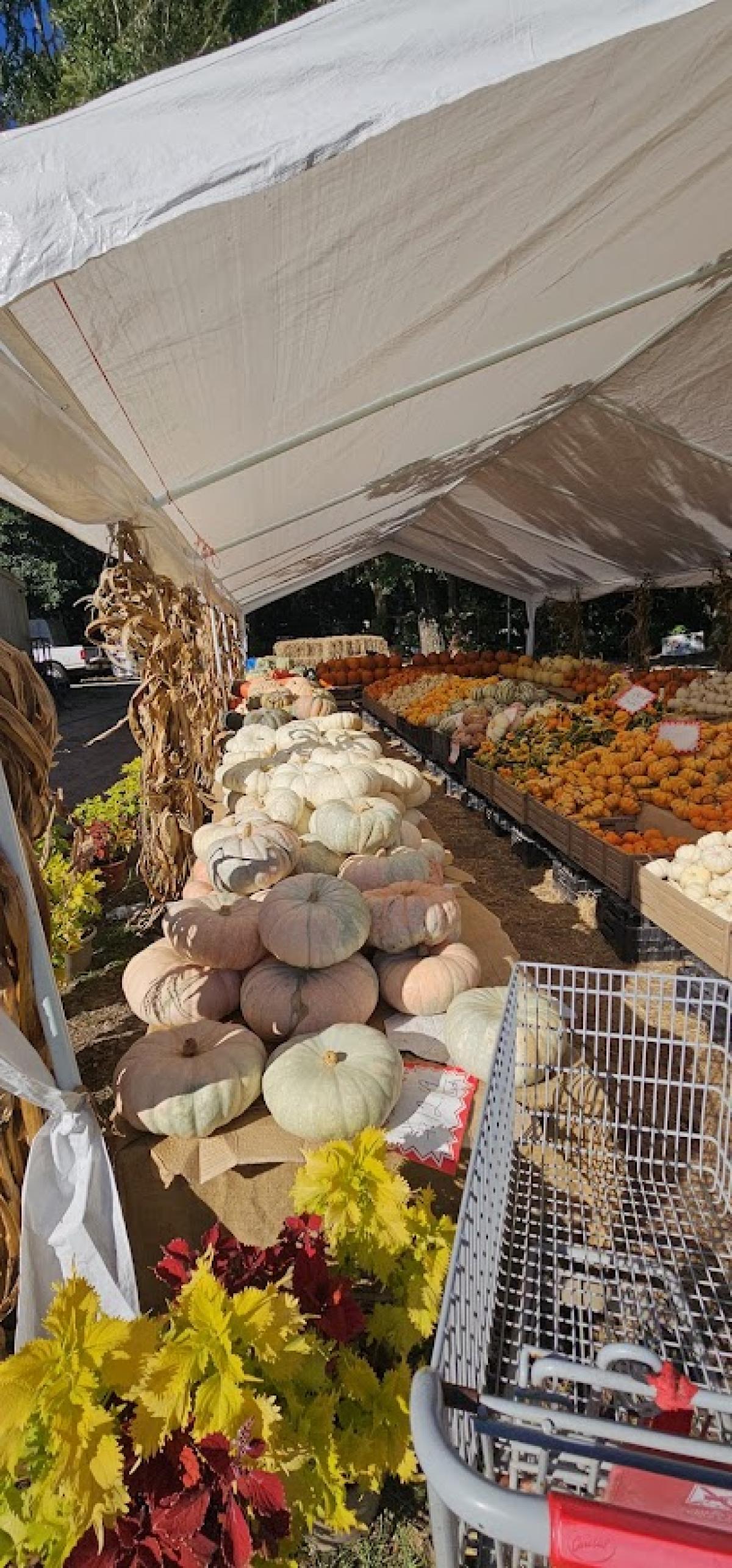 Country Wagon Farm Market