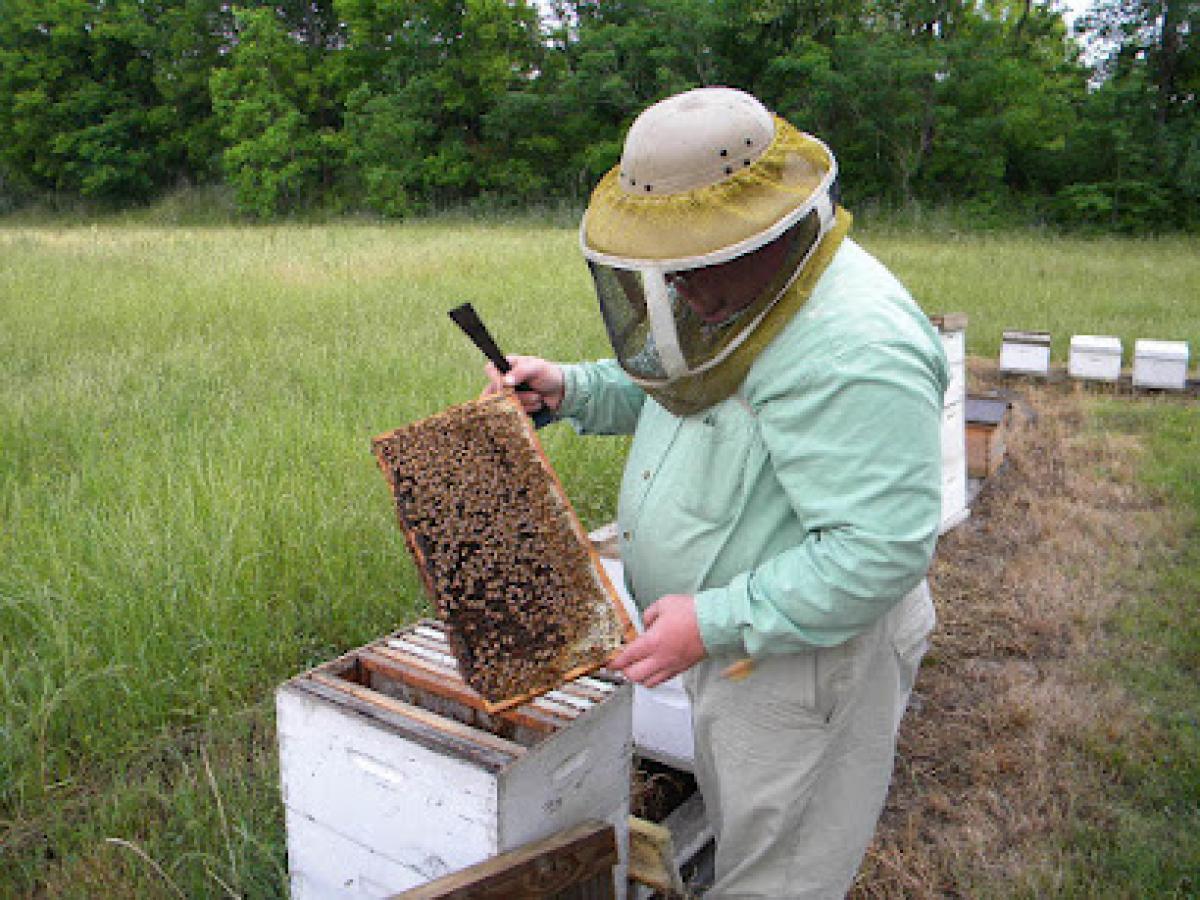 Hummer & Son Honey Farm