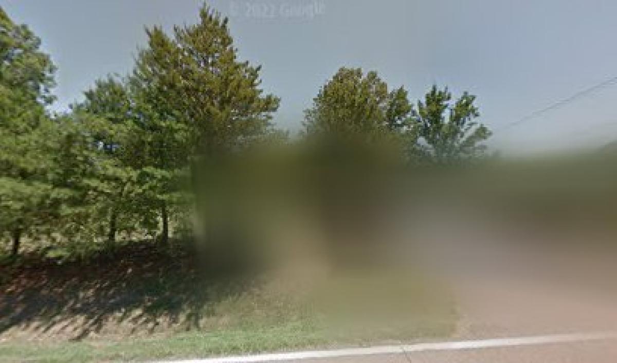 Camp Costello Farms Honey of Tennessee