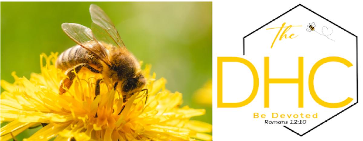 The Devoted Honey Co.