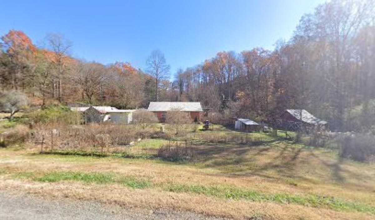 Diamond Springs Apiary