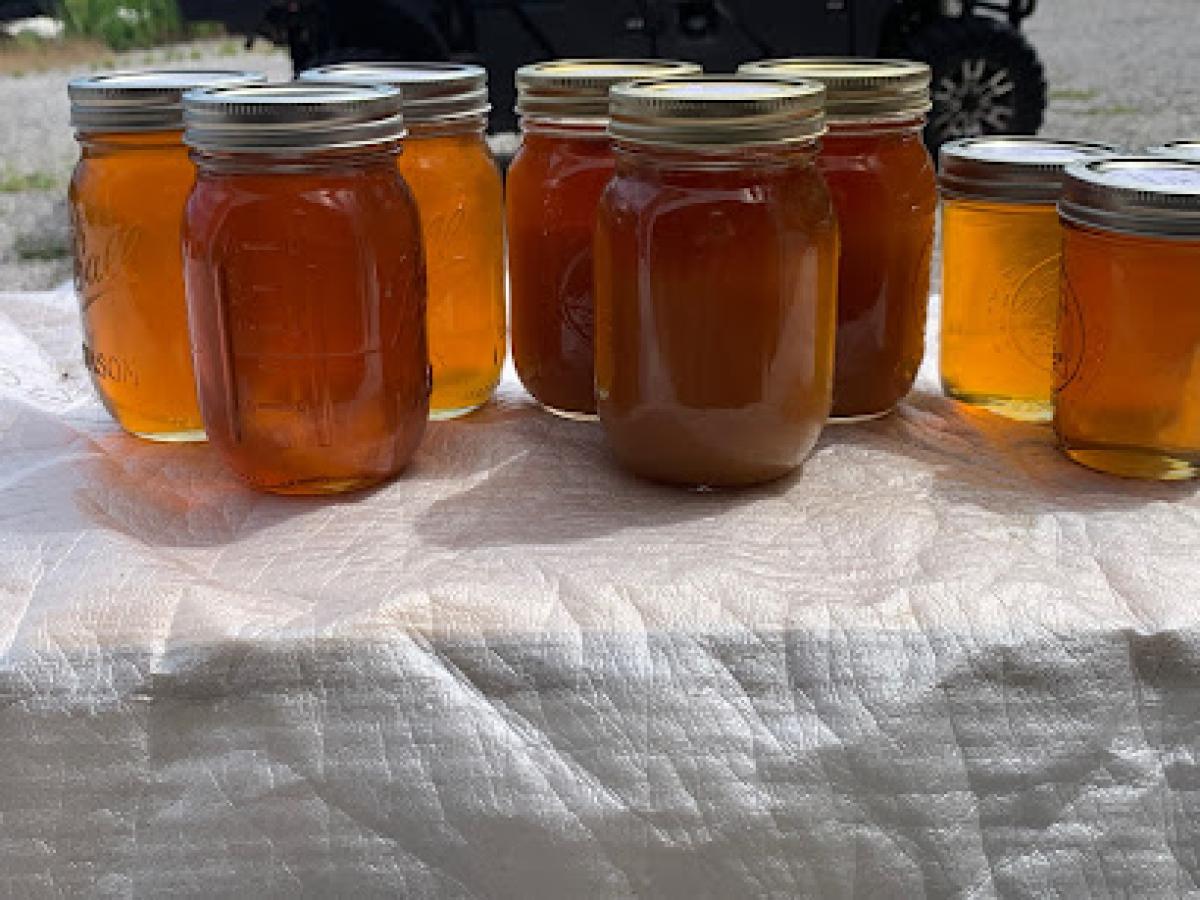 Milk & Honey Farm 601 Bruce RD (honey at this time)