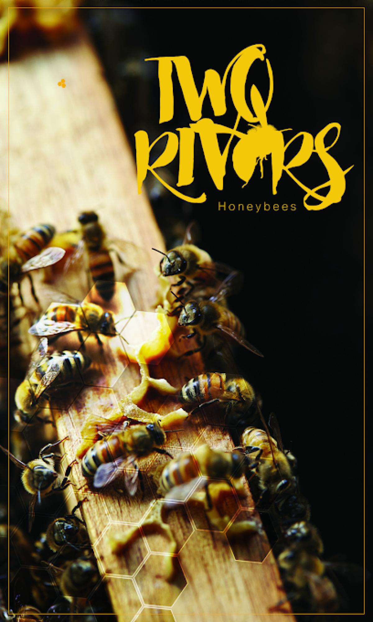 Two Rivers Honey Bees