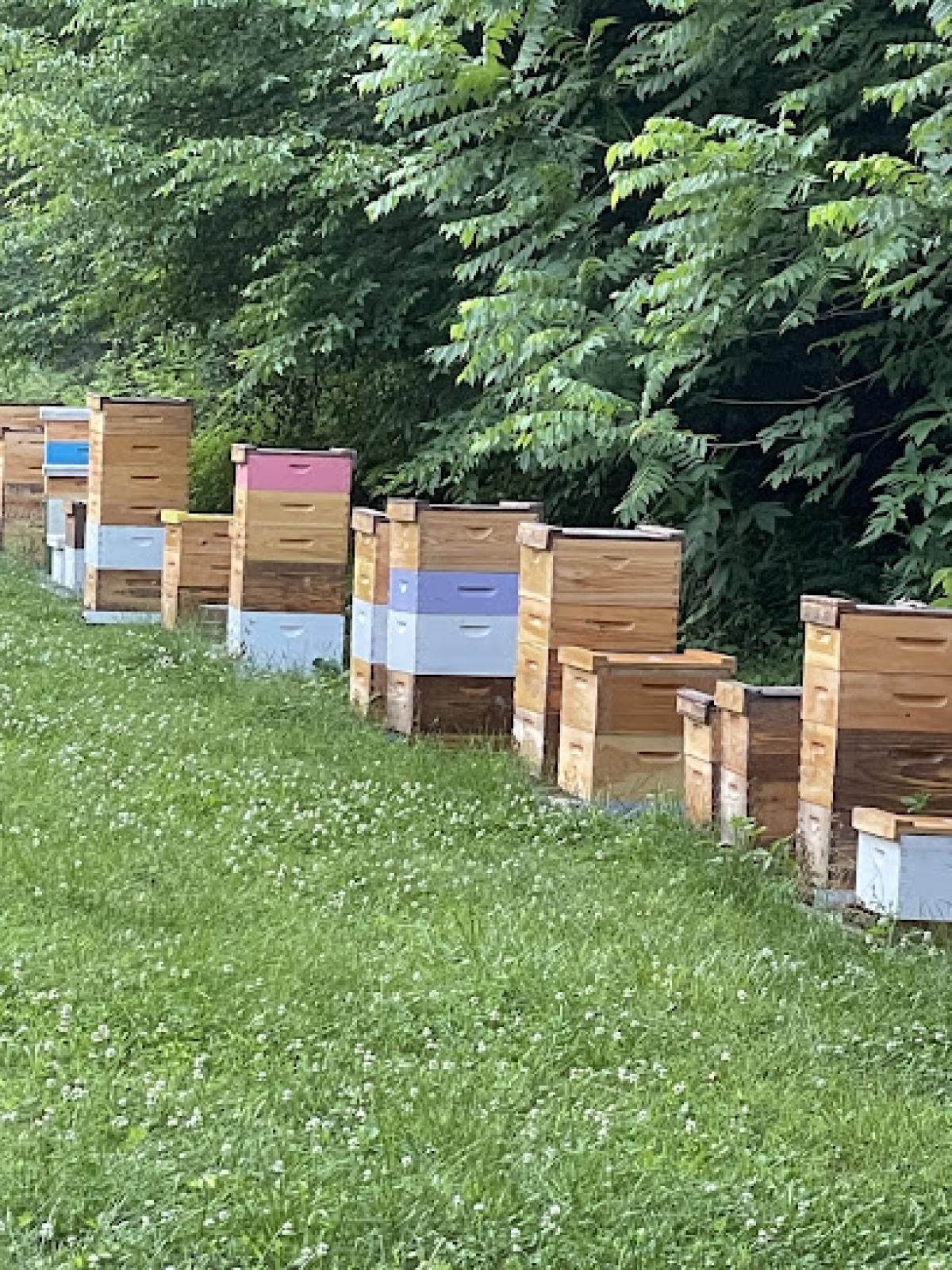 Poplar Ridge Honey Bees