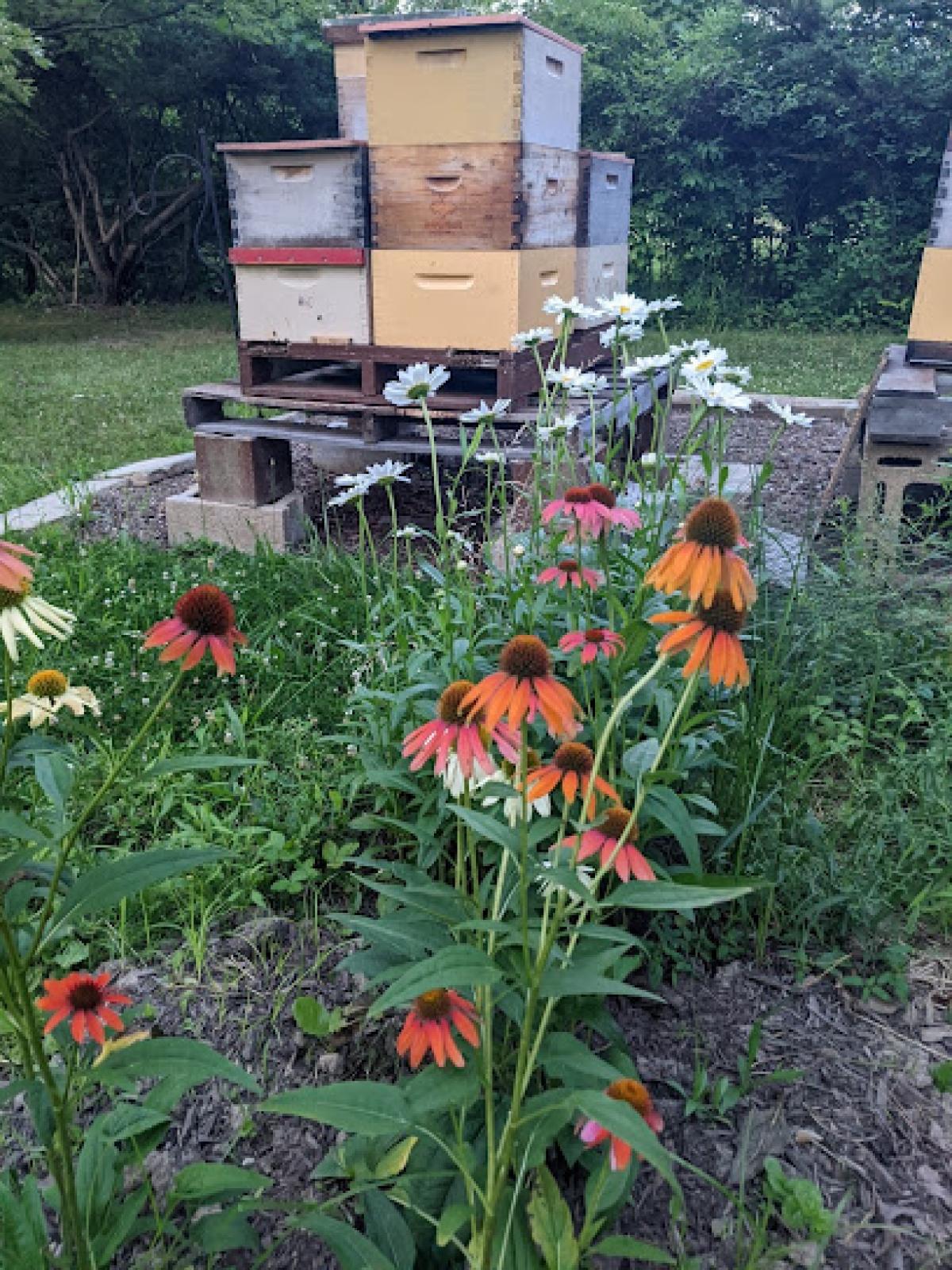 Willow Run Apiary
