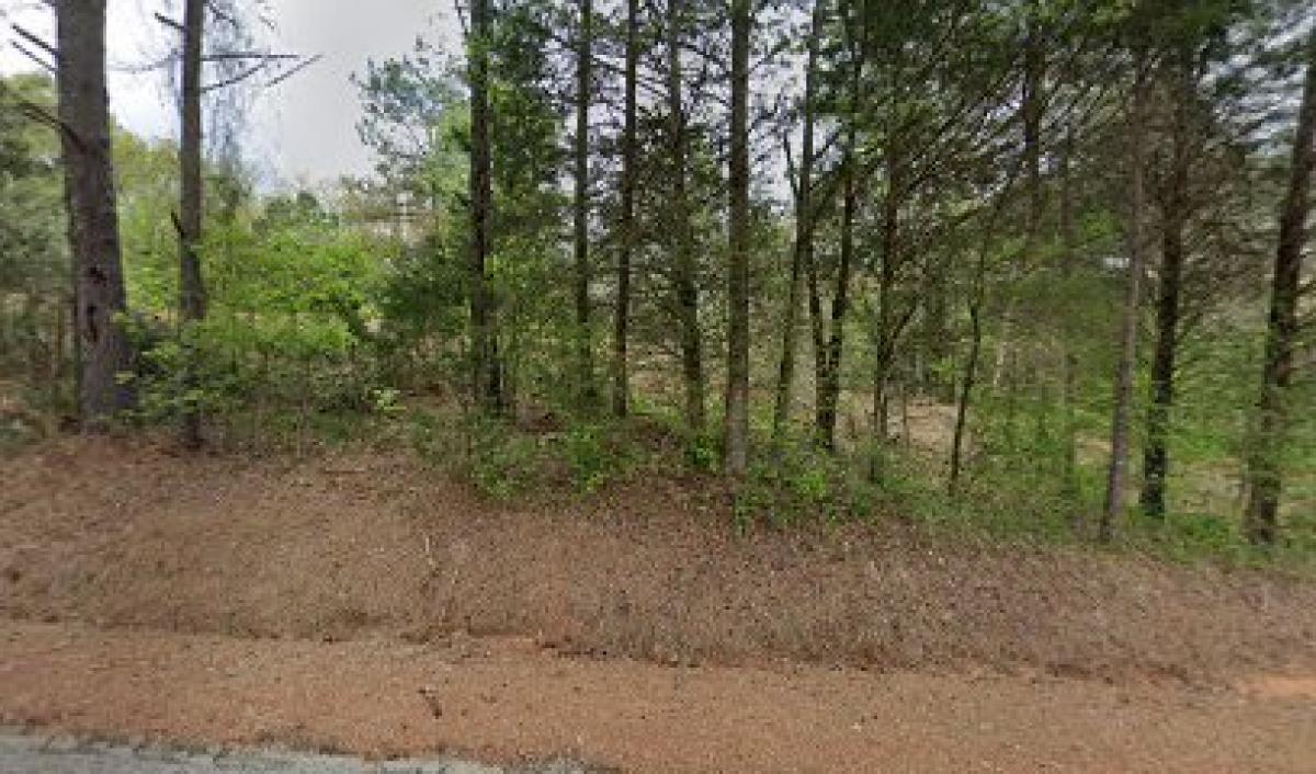 Kountry Kuzn Bee Farm