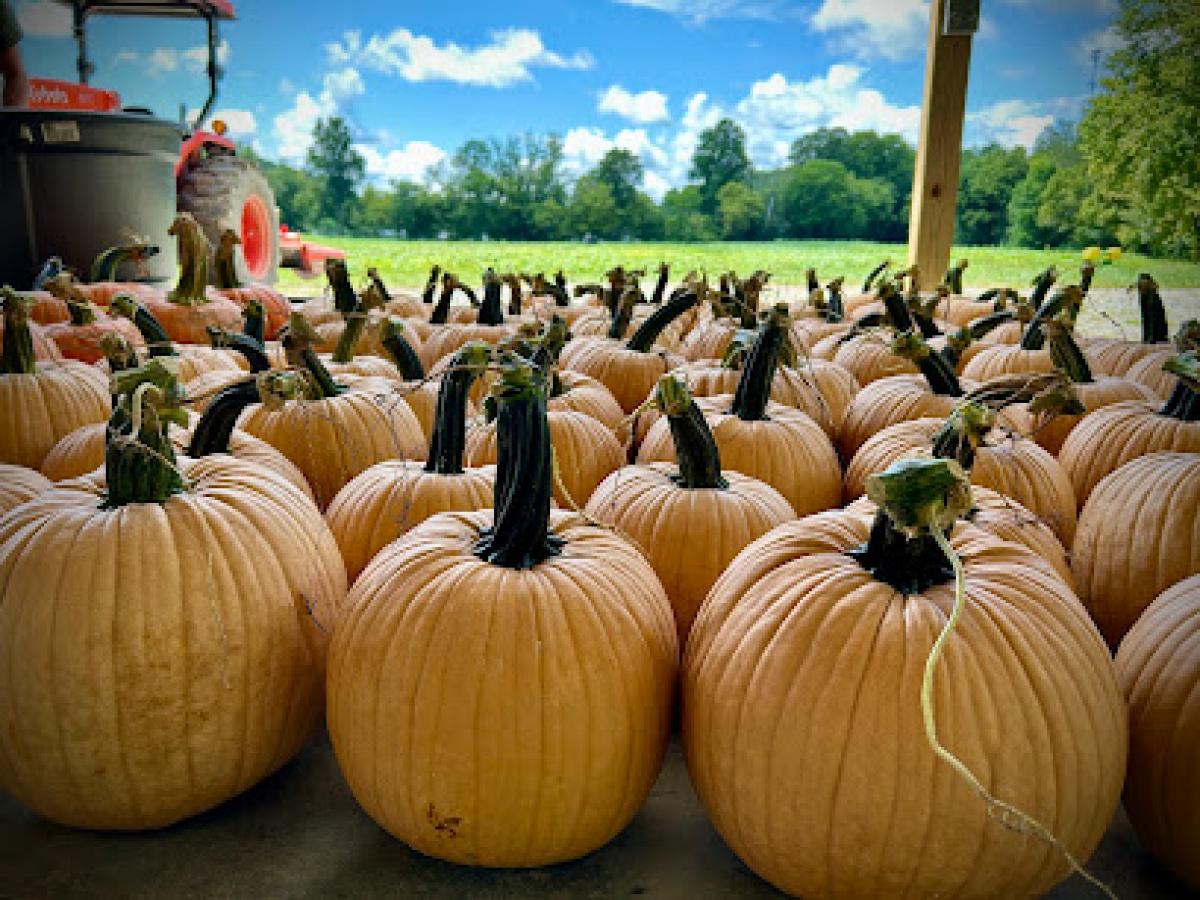 CATE Farms: Farm Market