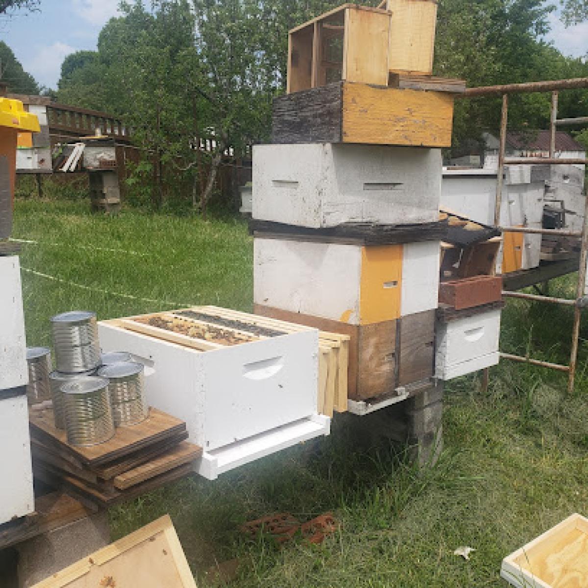 Arnold Honeybee Services