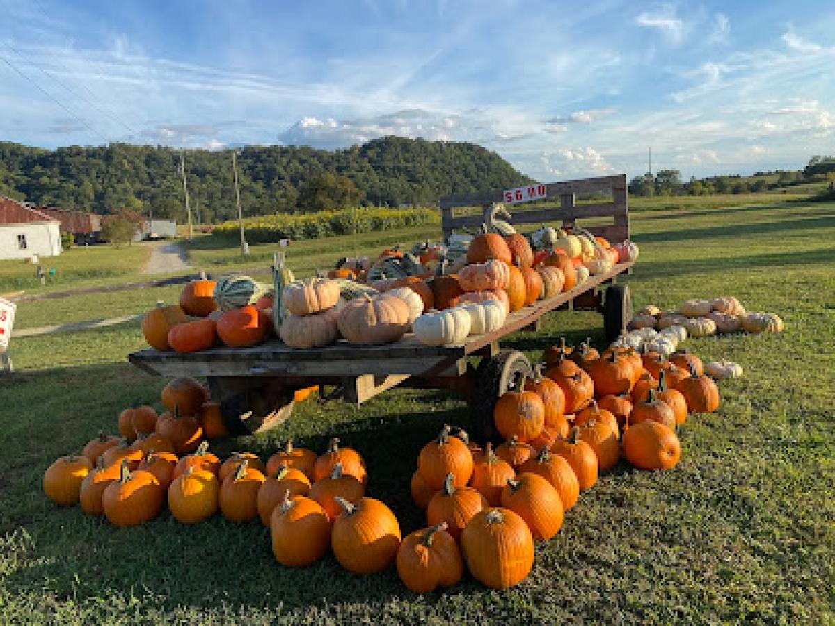 Myers Pumpkin Patch & Greenhouses
