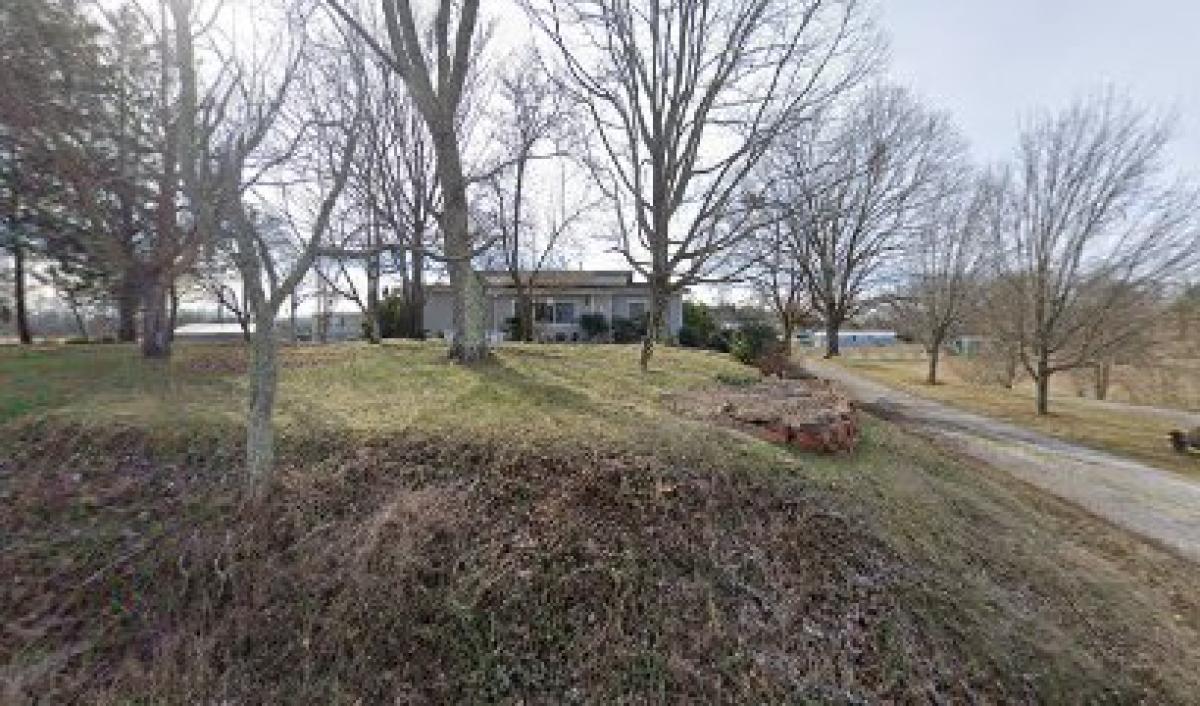 Wales Pure Raw Honey