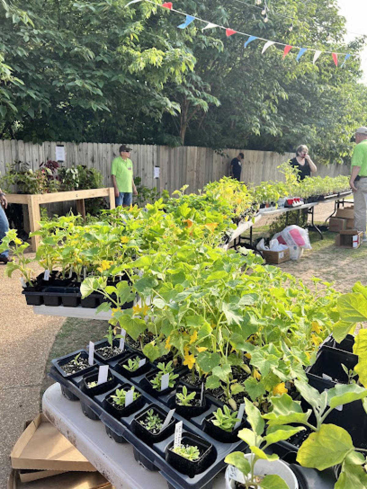 Starkville Community Market