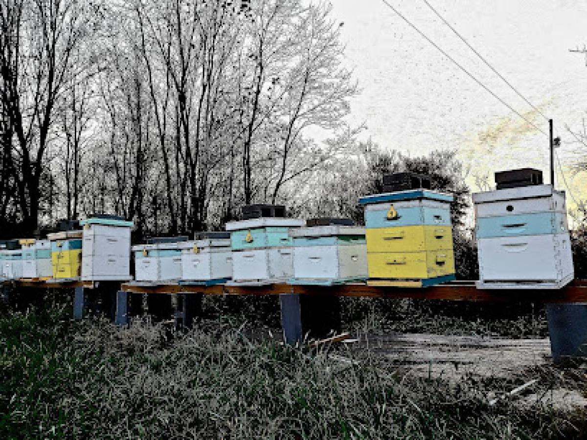 Louden Apiaries