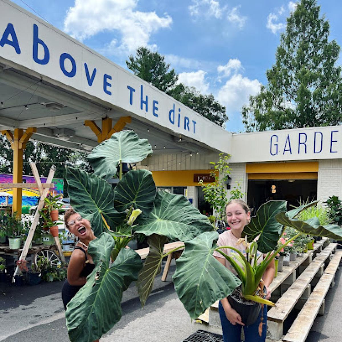 Above the Dirt Garden Shop