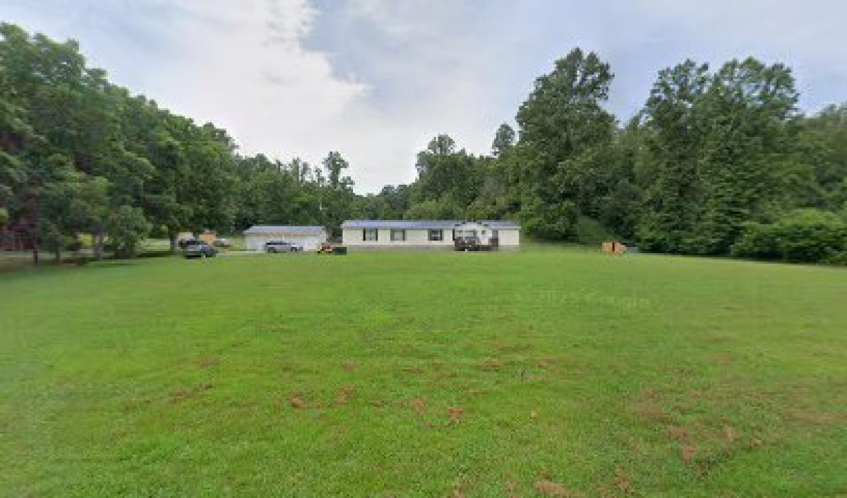 Catch A Buzz Apiaries