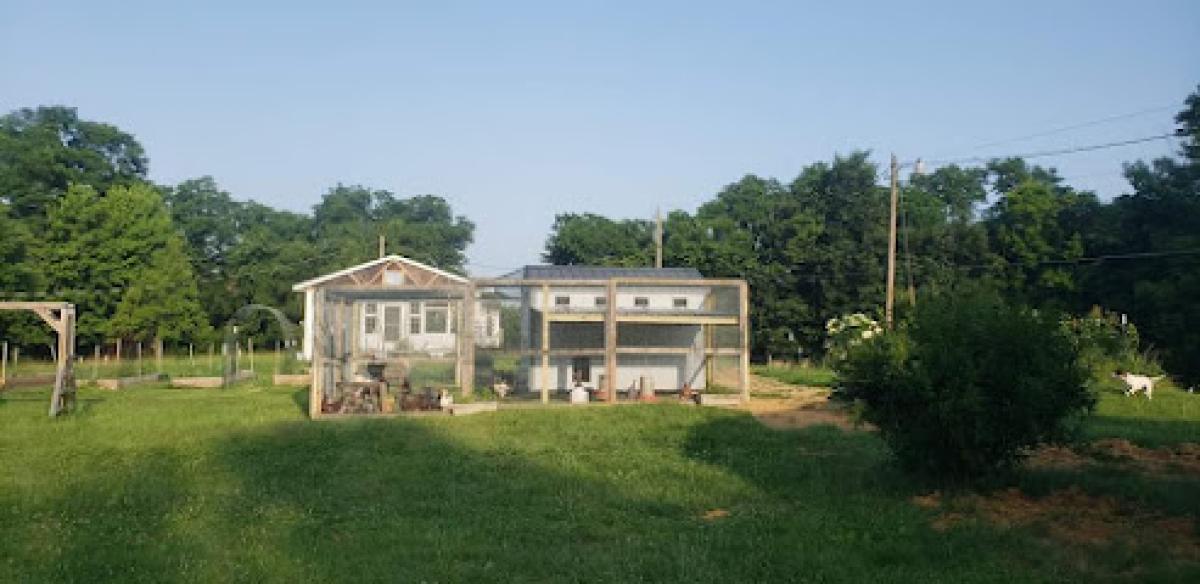 Mitchells Farm and Market