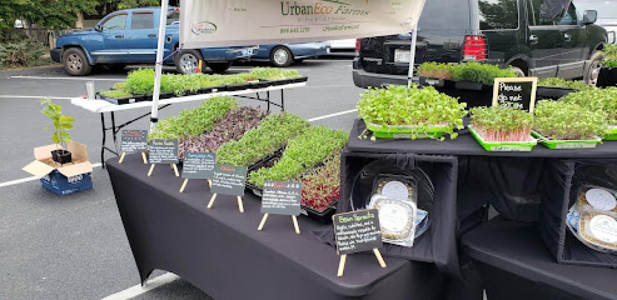 The Original Bardstown Road Farmers' Market Inc.