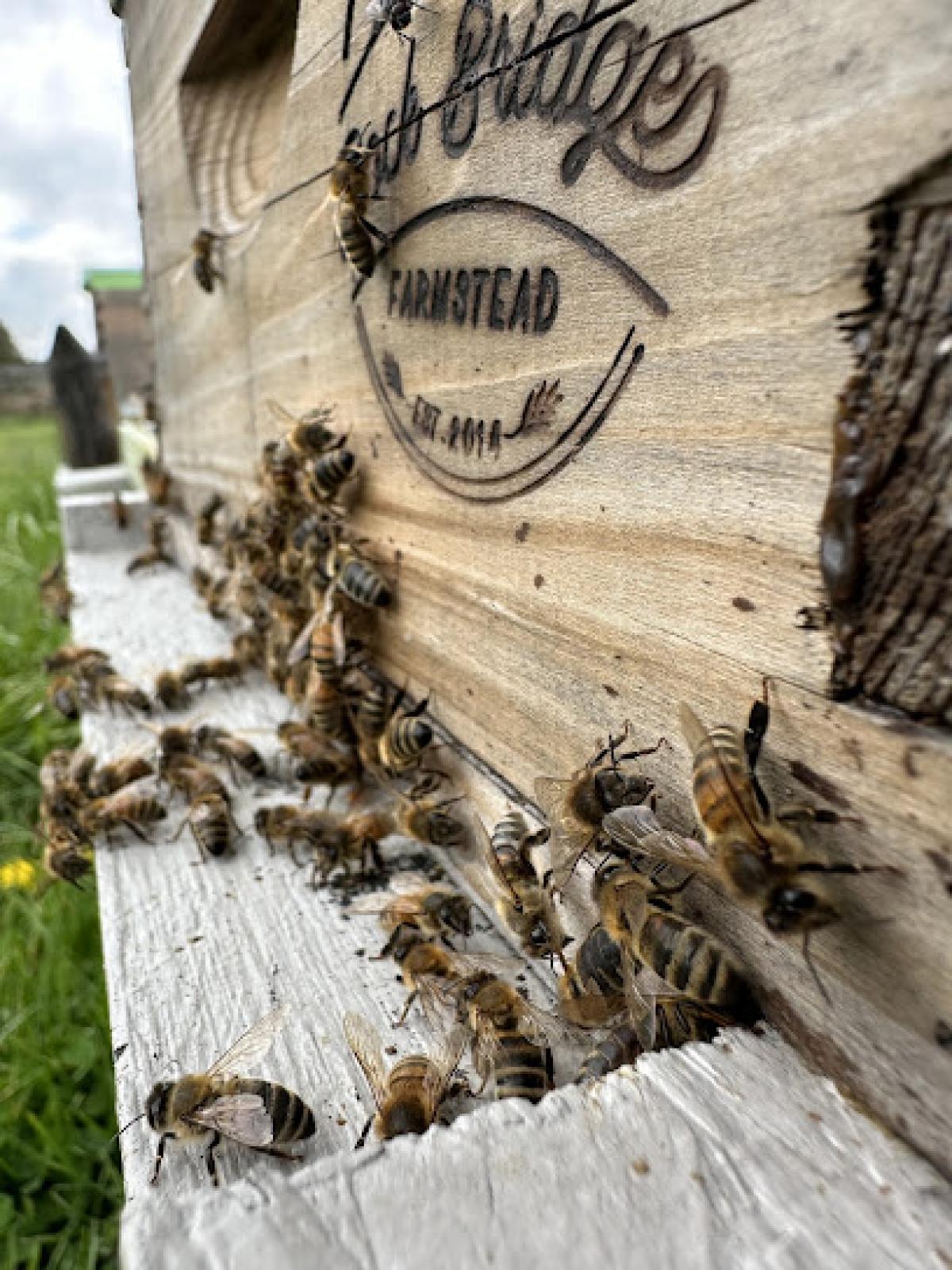 Rock Bridge Farmstead