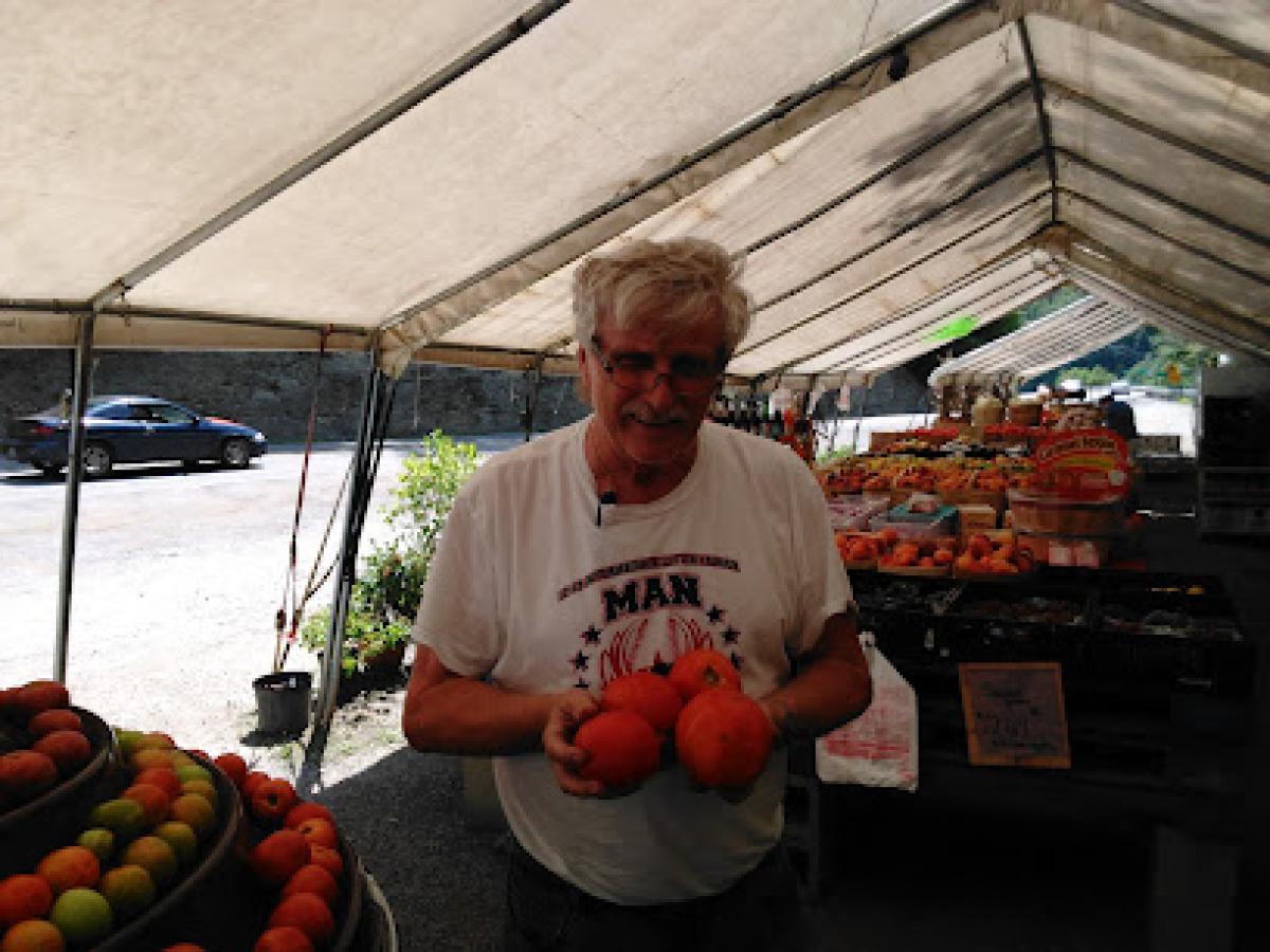 Golden Apple Fruit Market