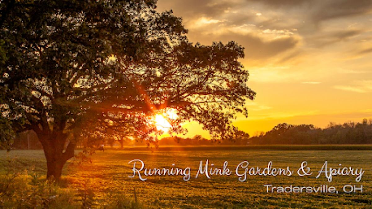 Running Mink Gardens and Apiary
